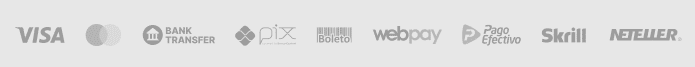 Opciones de pagos disponibles y su seguridad